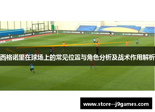 西格诺里在球场上的常见位置与角色分析及战术作用解析